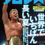IWGP ４代目　チャンピオンベルト　vol.5